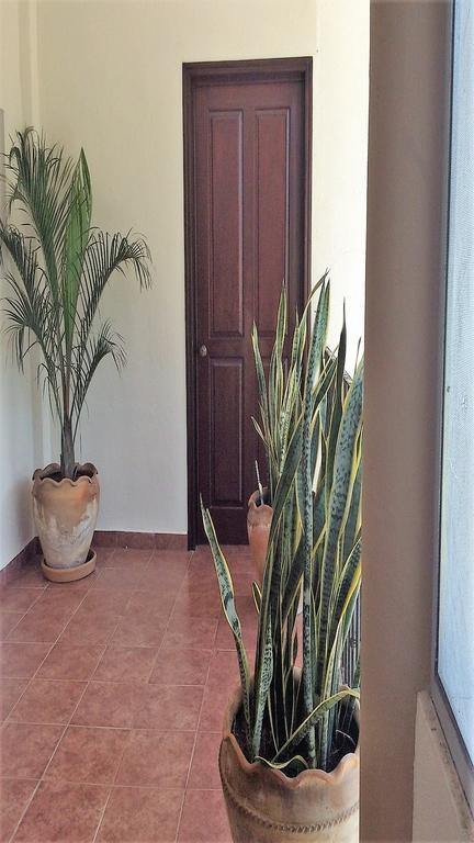La Vivienda Villa Santa Cruz Huatulco Exterior photo
